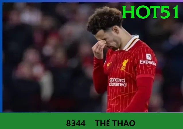 Cá Cược Thể Thao - hot51 - Thế giới ảo